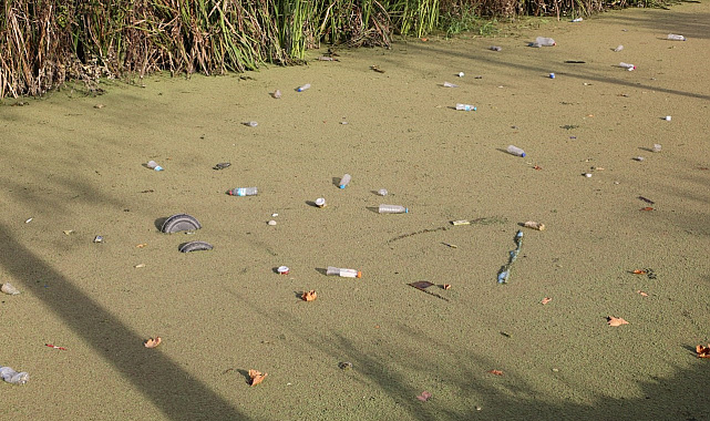 Karasu'da Su Kanalındaki Kirlilik Tepki Çekti