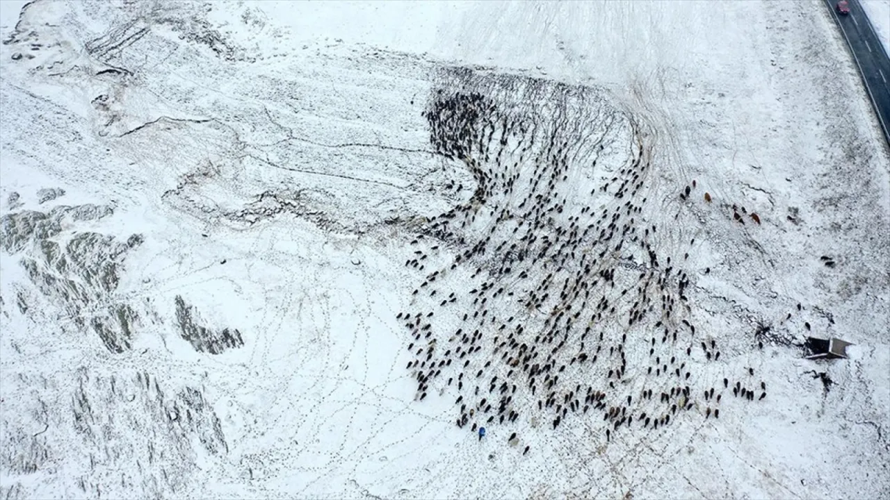 Kars'ta yayladan dönen göçerler karla karşılaştı