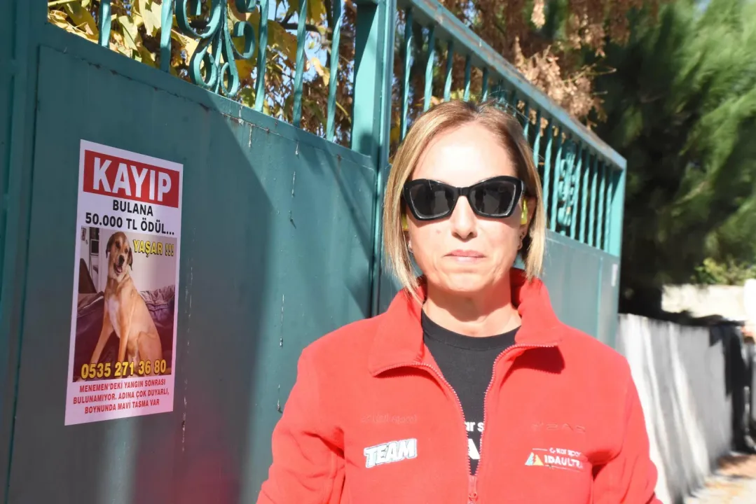 Kayıp köpeği Yaşar'ı bulana 50 bin lira verecek