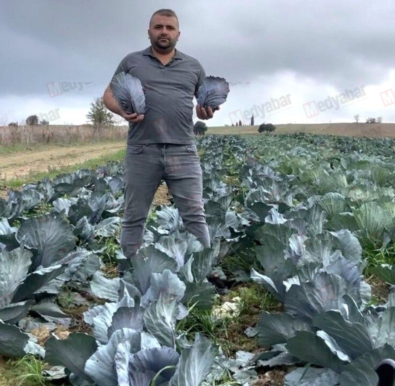 Kaynarca’da mor lahana hasadı başladı
