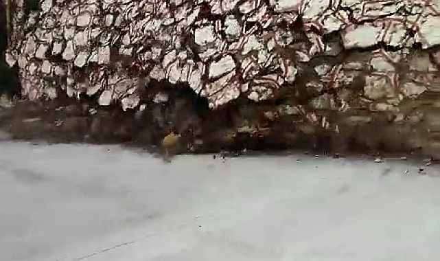 Kocaeli'de 10 metrelik istinat duvarı okul bahçesine devrildi