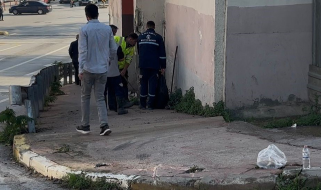 Kocaeli'de freni boşalan otobüs duvara çarptı: 3'ü polis 7 yaralı