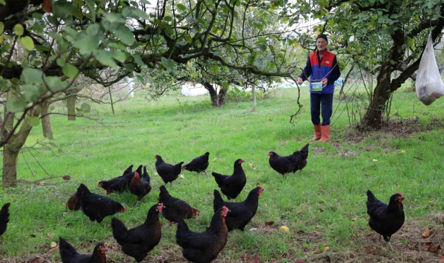 Kocaeli'de kırsal kalkınmaya "kanatlı" destek