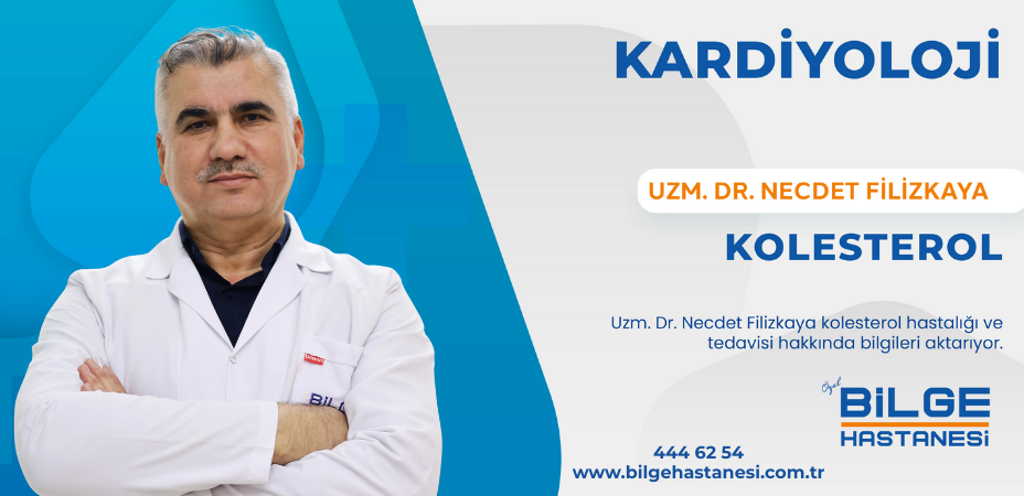 Kolesterol yüksekliği kalp ve damar hastalıkları riskini artırıyor