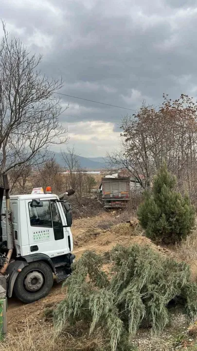 Kontrolden çıkan tır bariyerlere ve elektrik direğine çarparak tarlaya savruldu: 1 yaralı