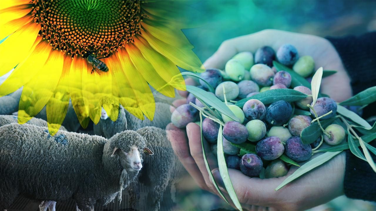 Kooperatiflere 4,5 milyar liralık dev destek: Finansmana erişim kolaylaşıyor