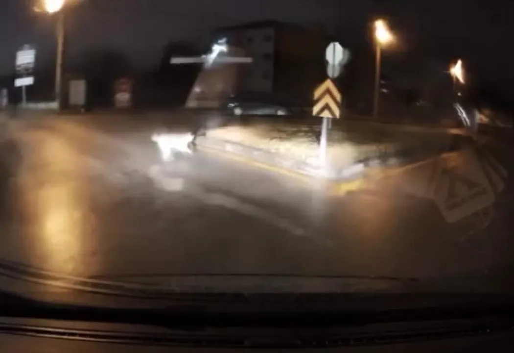 Köpeklerin kovaladığı kişiyi aracına alarak kurtardı / Video eklendi