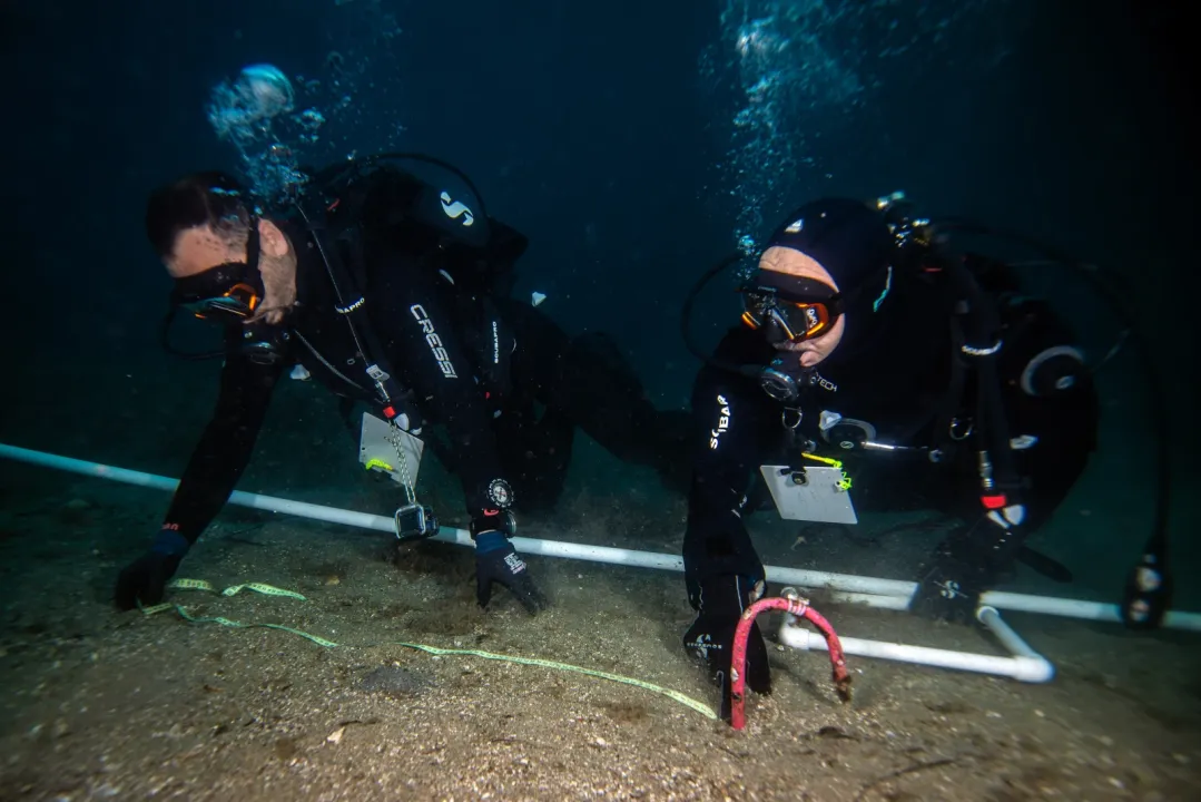 Marmara'da deniz çayırlarının genel durumunun iyi olduğu gözlendi