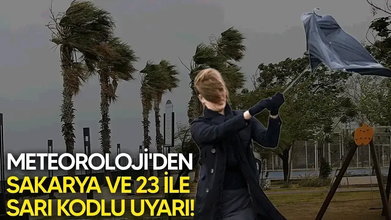 Meteoroloji Sakarya'yı sarı kodla uyardı! 90 kilometre hızla esecek