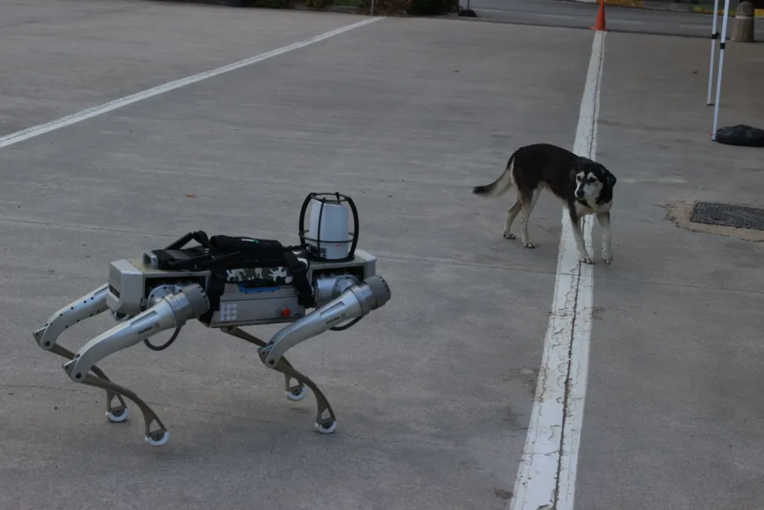 Milli robot köpek 2026 başında göreve hazır olacak