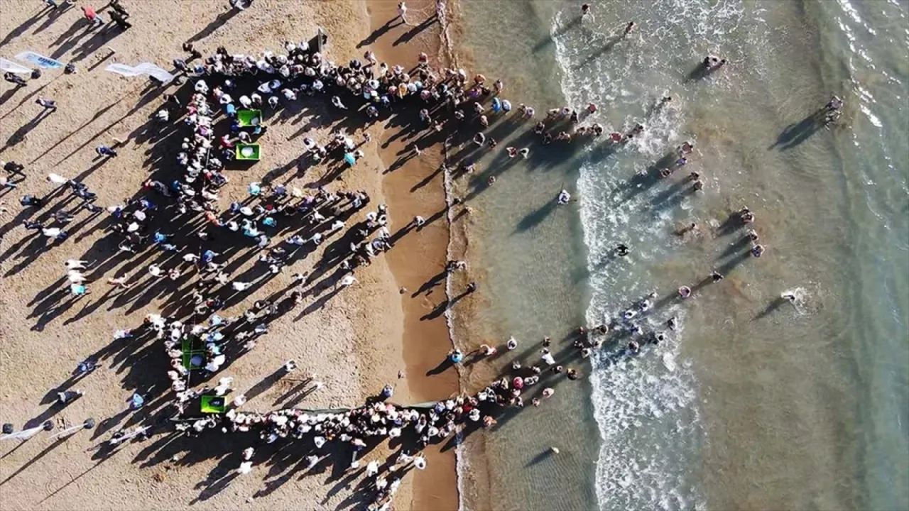 Muğla'da tedavileri tamamlanan deniz kaplumbağaları denizle buluştu