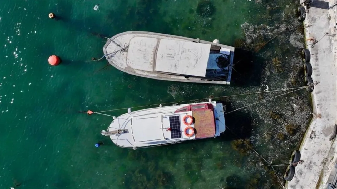Müsilaj oluşumu görülen illerdeki balıkçılara ilave ödeme yapılacak