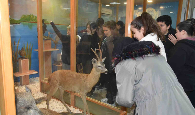 Öğrenciler hayvan müzesini ilgi ile gezdi