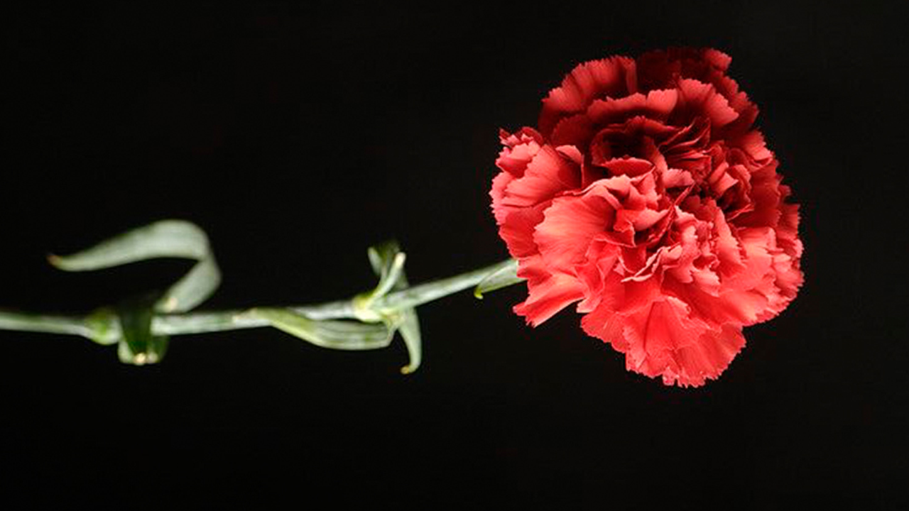 Onlarca hafız yetiştirmişti: Çeşminaz teyze hayatını kaybetti!