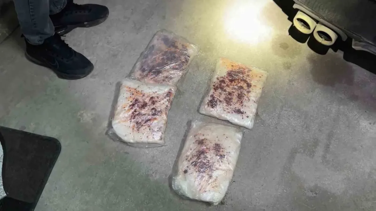 Ordu’da zehir tacirlerine büyük darbe: 25 kilo 200 gram metamfetamin ele geçirildi