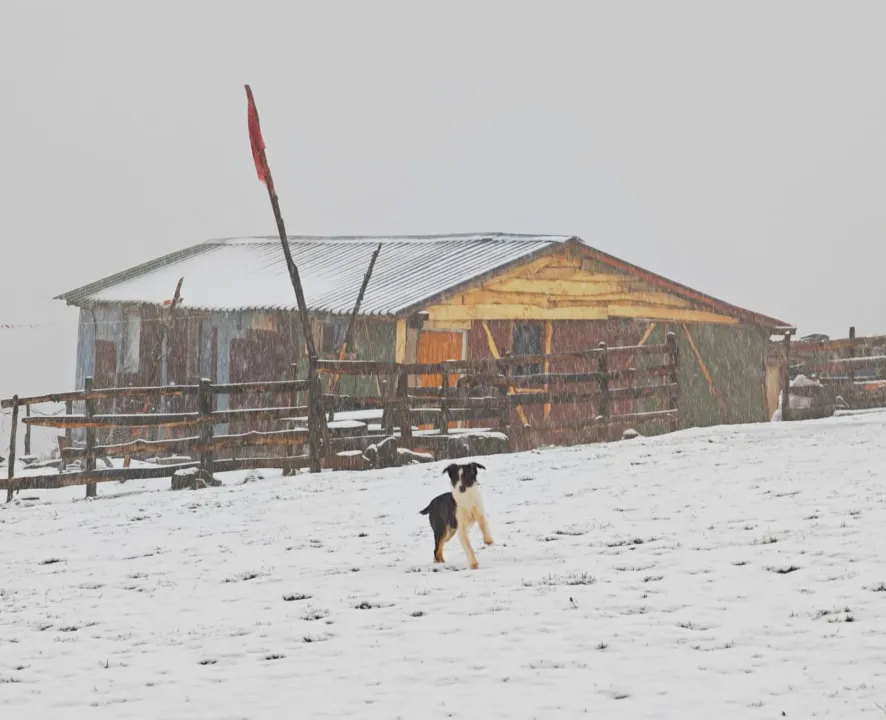 Ordu’nun yüksekleri beyaza büründü