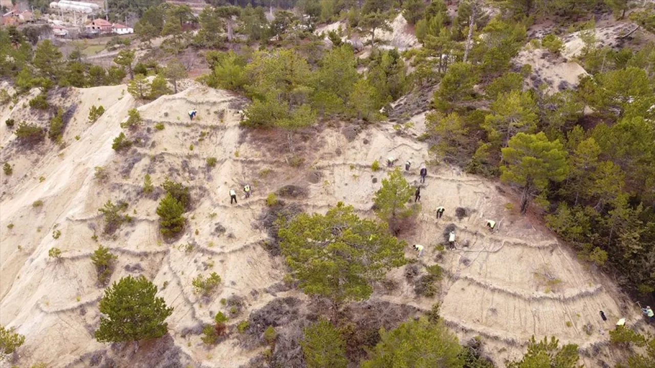 Orman işçileri erozyona karşı da sahada