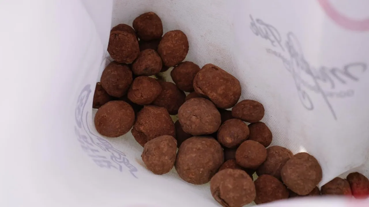 Orman yangınında zarar gören alanlara yamaç paraşütüyle tohum serpildi