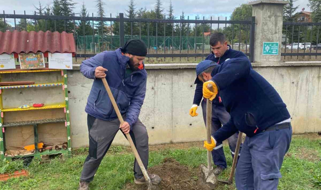 Orman yangınları sonrası yola çıktı, 71. fidanını Bolu'da dikti