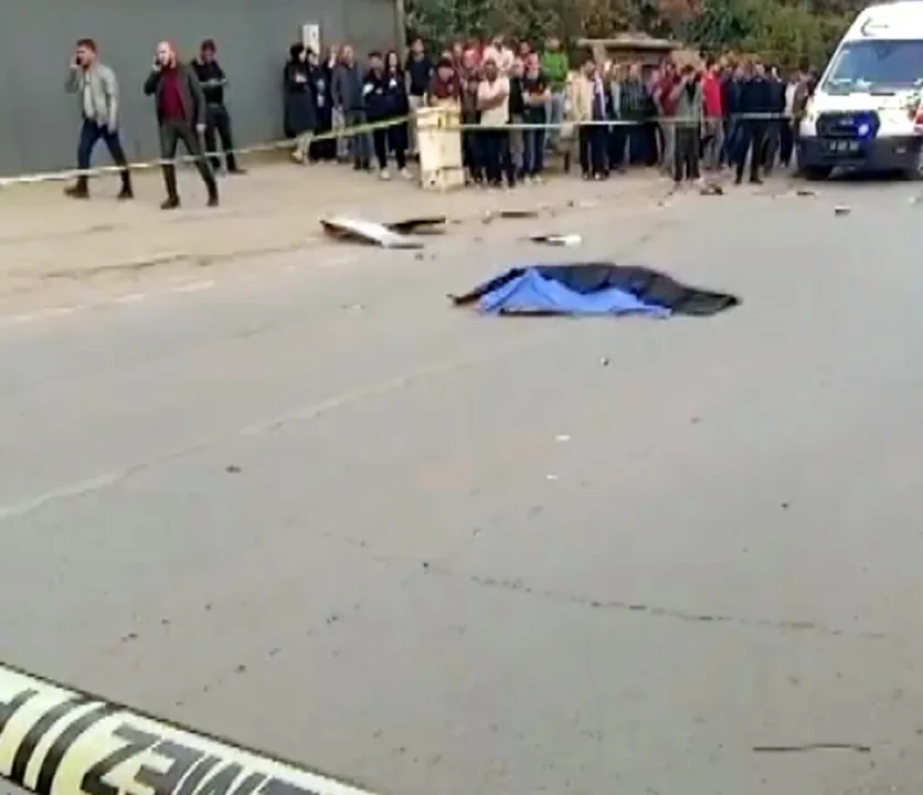 Otomobilin çarptığı Güney, hayatını kaybetti