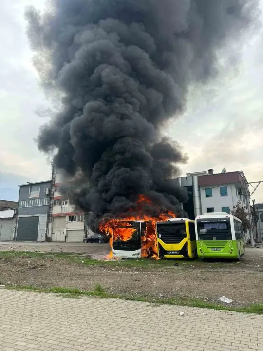Park halindeki otobüsler cayır cayır yandı
