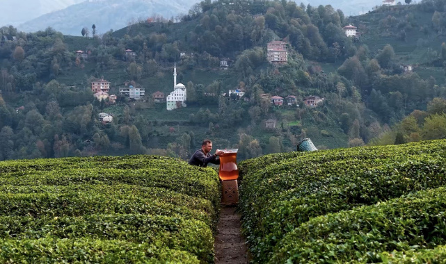 Rize'de dev çay bardağıyla yapılan çekim olay oldu: İzleyenler yapay zeka sandı