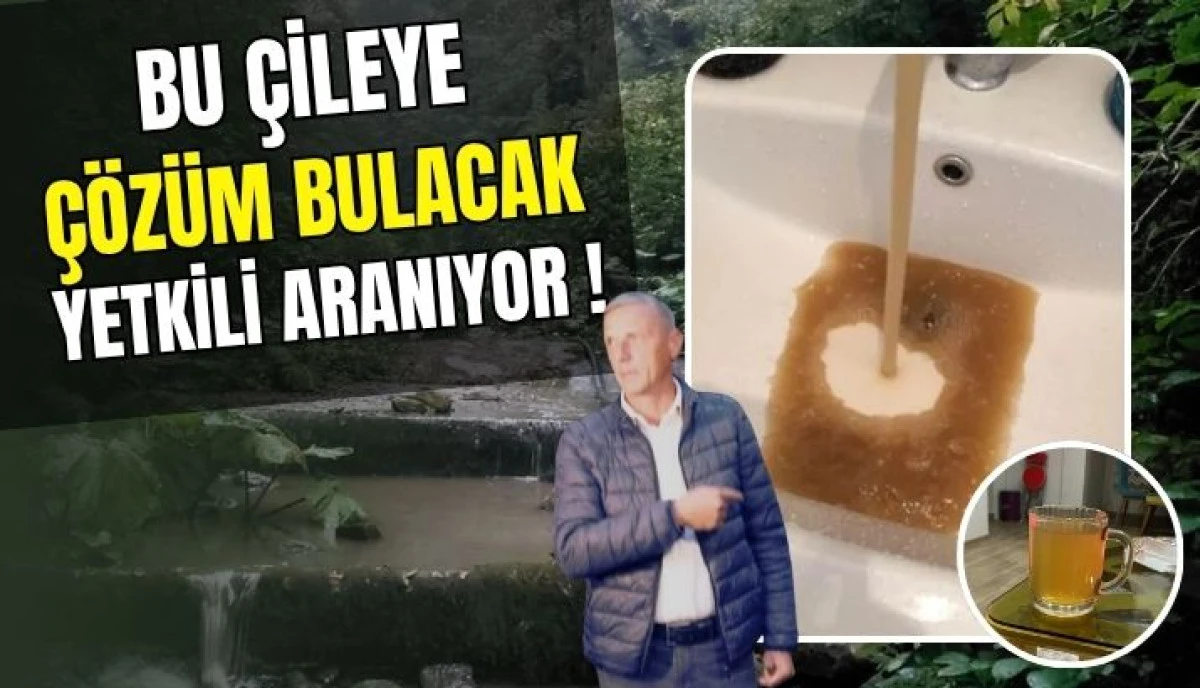 Sakarya Akyazı Taşburun'da 15 Yıllık Susuzluk Krizi: Mahalleli İsyan Ediyor