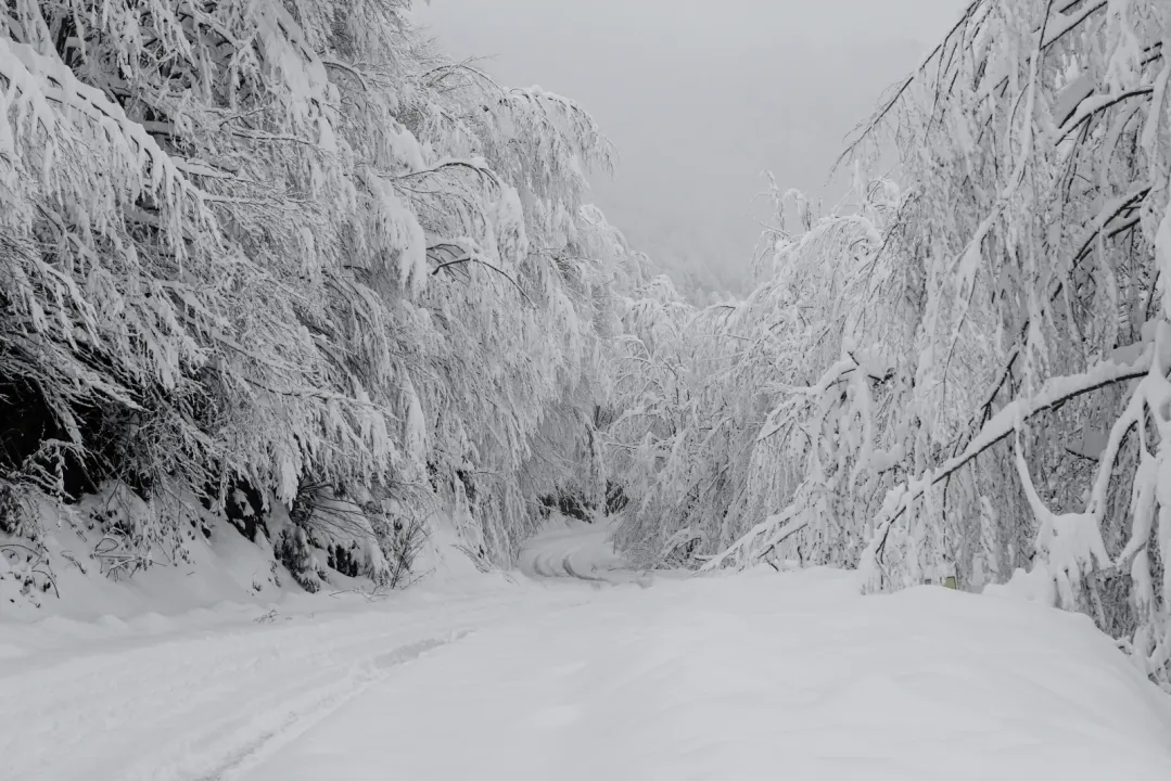 Sakarya Çam Dağı'nda oluşan kış manzaraları havadan görüntülendi