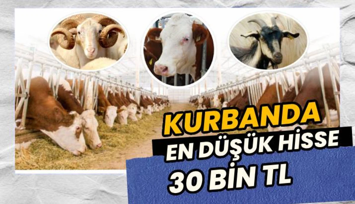 Sakarya’da 2026 Yılı Kurban Hisse Fiyatları Netleşti: İşte Yeni Rakamlar