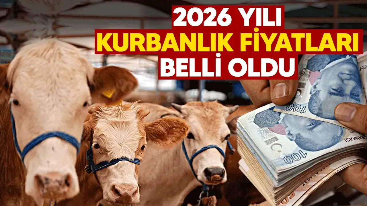 Sakarya’da 2026 yılı kurbanlık fiyatları belli oldu