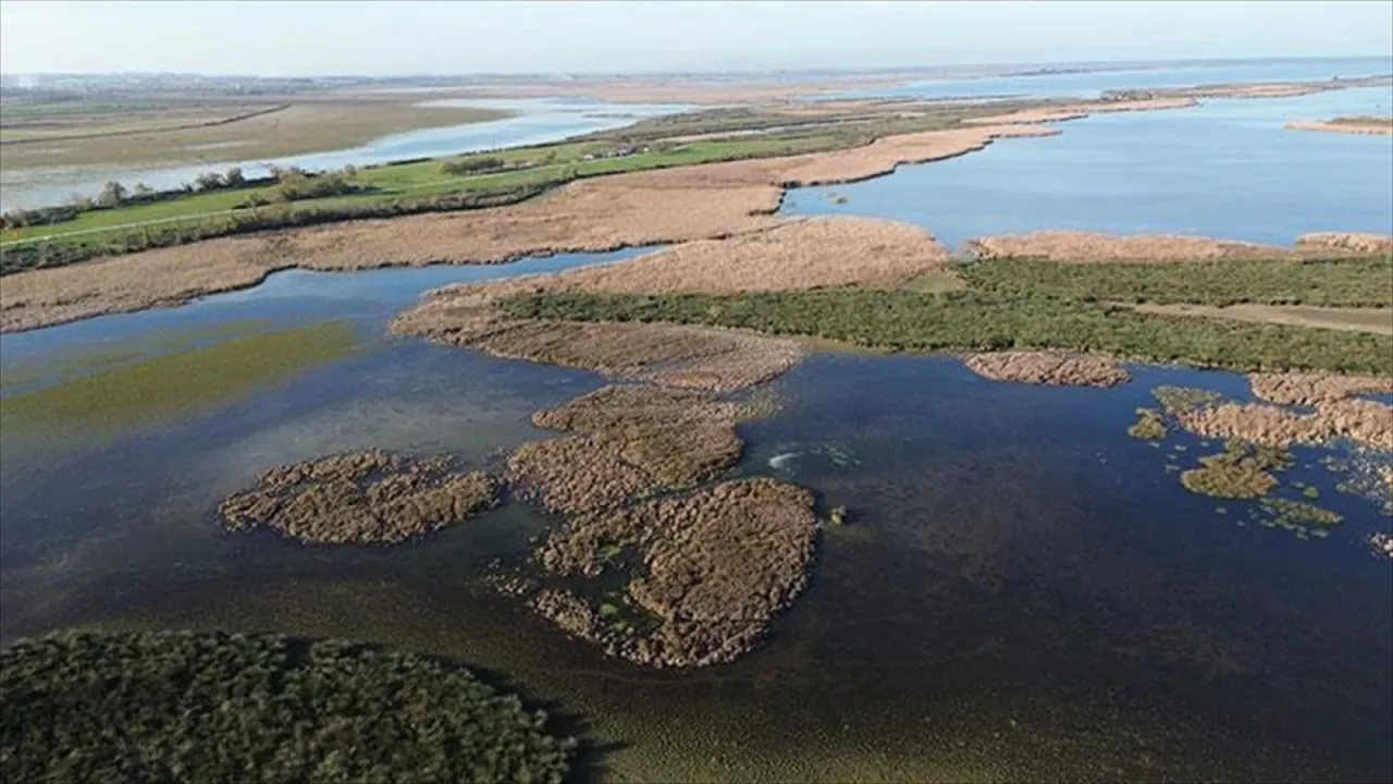 Samsun Kızılırmak Deltası'nda suları çekilen göller sonbahar yağışlarıyla canlandı