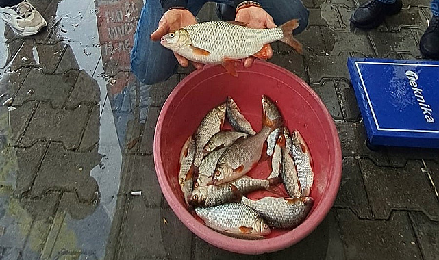 Sapanca Gölü'nde kızılkanat heyecanı: Amatör balıkçılar kıyasıya yarıştı