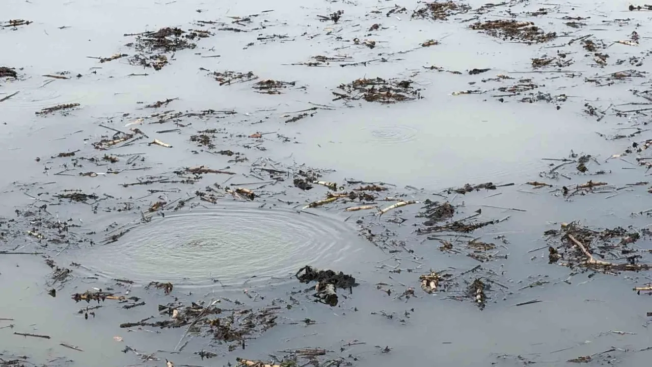 Sapanca Gölü’nde korkutan hava kabarcıkları şimdi de o gölde oluştu