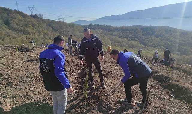 SEDAŞ, 4 ilde 500 fidanı toprakla buluşturdu