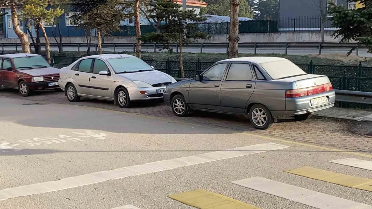 Soğuk hava sebebiyle çimler ve otomobil camları buz tuttu