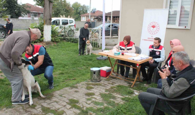 Son tarih 31 Aralık 2025