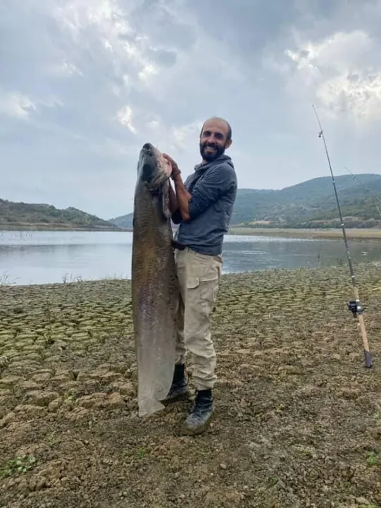 Su seviyesi düşen barajda yayın balığı avlıyorlar