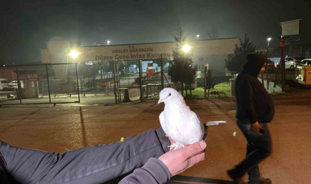 Tahliyeleri beyaz güvercinle karşıladılar
