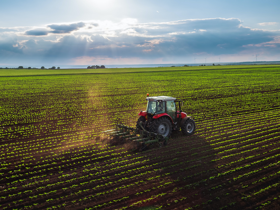 Tarım-GFE yıllık yüzde 34,60 arttı