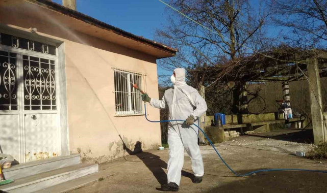 Tarım ve Orman İl Müdürlüğü'nden 'Kahverengi Kokarca' çağrısı