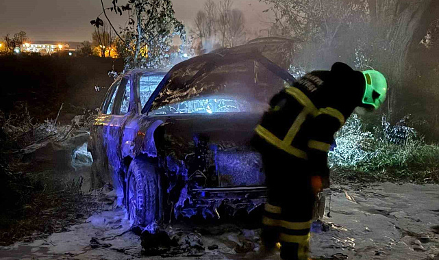 Tarlada park halindeki otomobil alev topuna döndü, geriye demir yığınları kaldı
