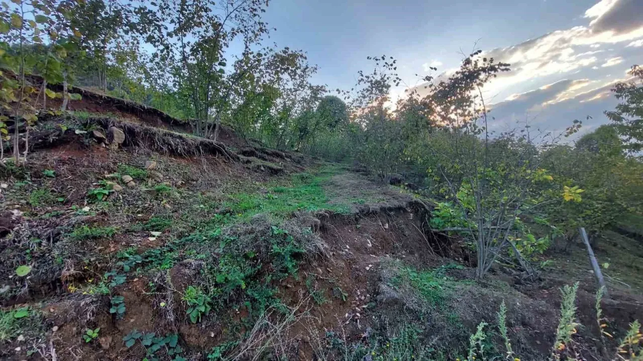Taş ocağı mahalleyi yok etmeye başladı! Araziler parçalandı, evler yamuldu...