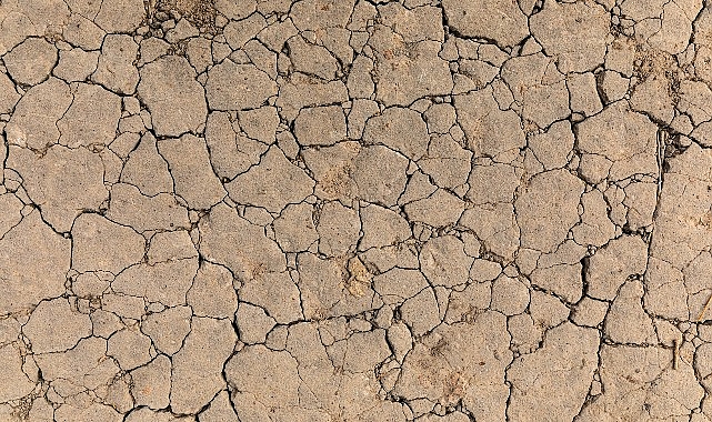 TEMA Vakfı: Toprak Yoksa Su, Su Yoksa Gıda Yok!