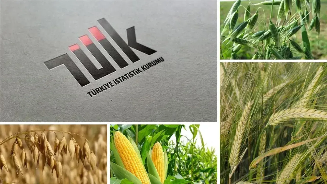 TÜİK açıkladı: Bitkisel üretim geriledi