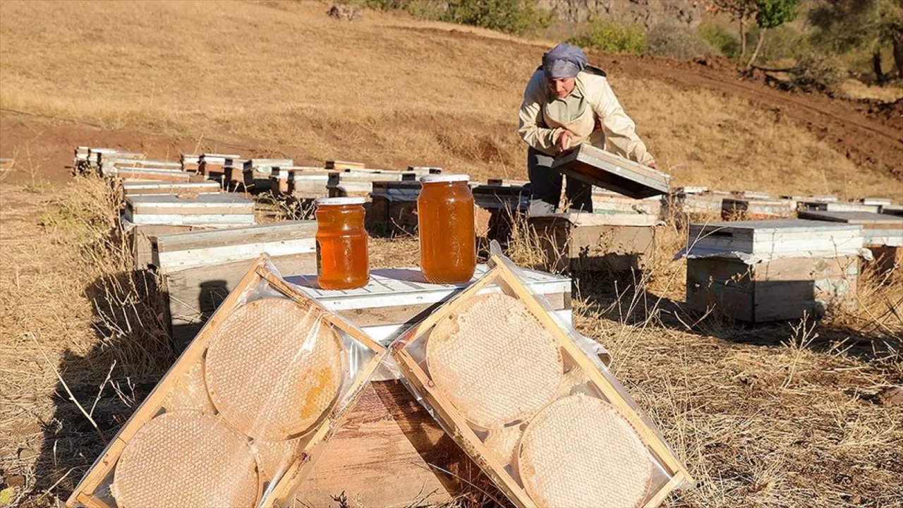Üretim için şehirden köyüne dönerek arıcılığa başladı