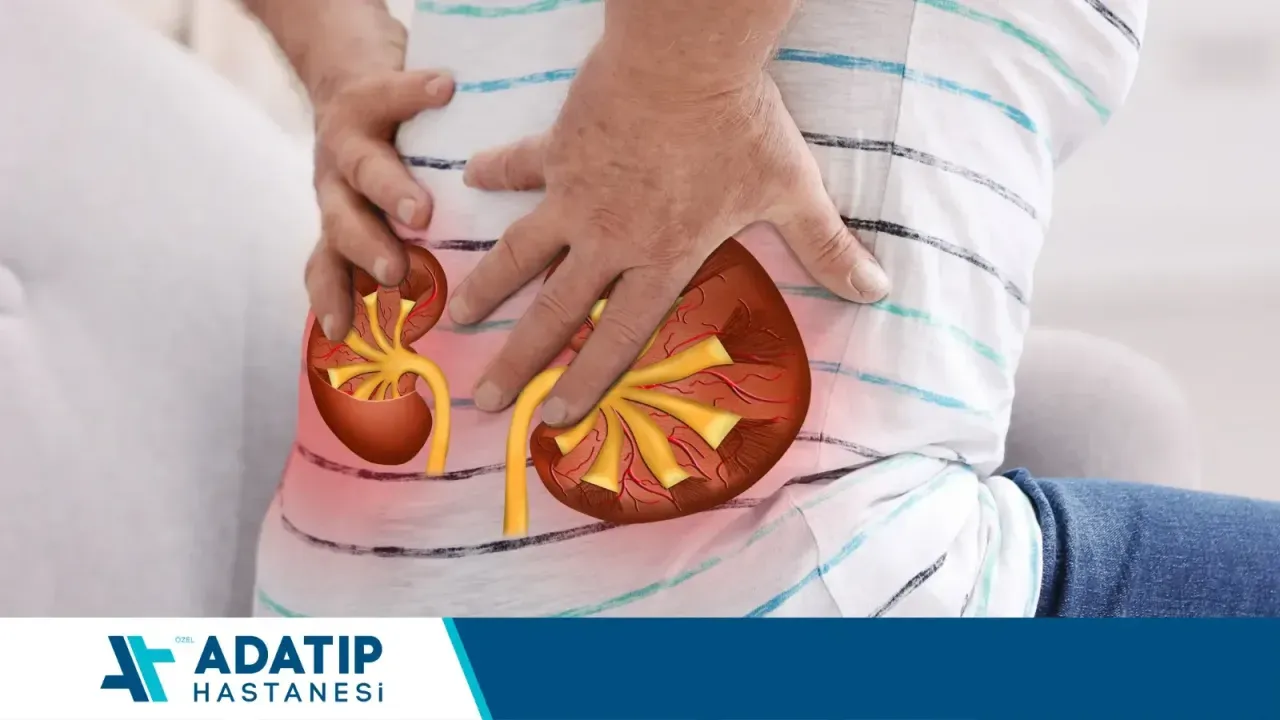 Üroloji Uzmanı Op. Dr. Osman Bilgilendiriyor: Kapalı Böbrek Taşı Girişimleri Hakkında Merak Edilenler