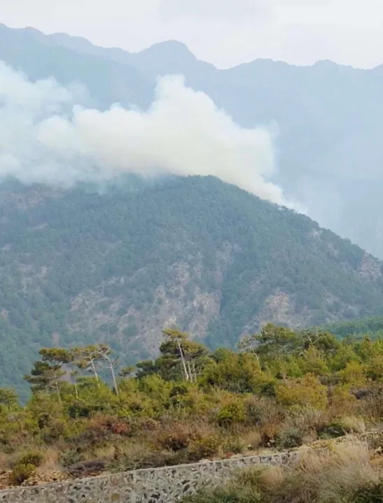 Yıldırım düşmesi sonucu orman yangını çıktı