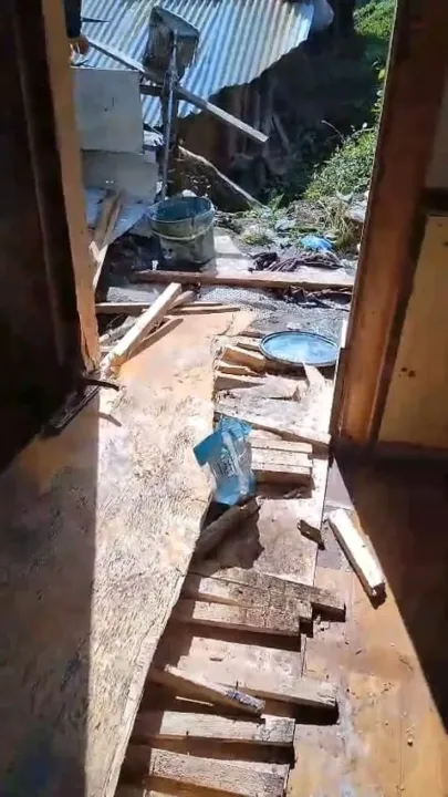 Yiyecek arayan ayılar 8 köy evine zarar verdi